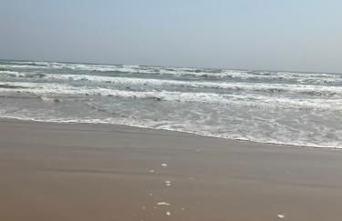 Bahama Breeze #4 Sea Dancer Condos - Photo 7