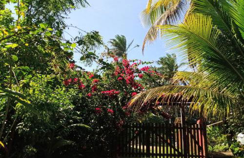 Chale da Lu - Photo 11