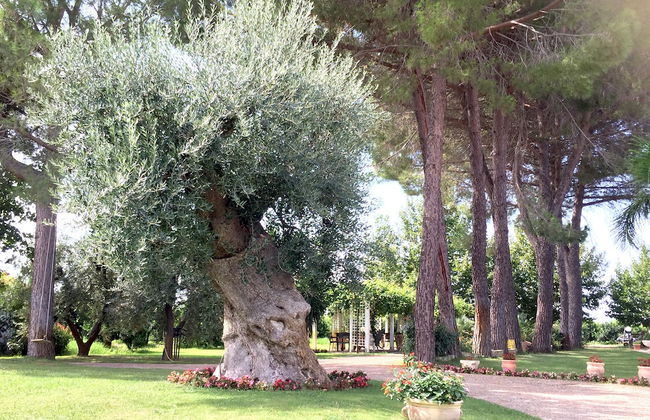 Agriturismo La Stornara - Foto 57