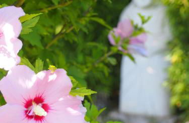 L'Islo Bamboo - Foto 22