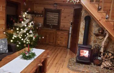 Domki pod Lipą. - Foto 40