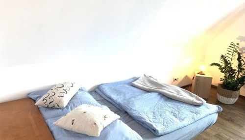 Casa Marcu Wohnung 1 OG - Foto 4
