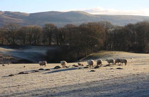 Sunset View one bedroom luxury cottage in an idyllic setting - Foto 33