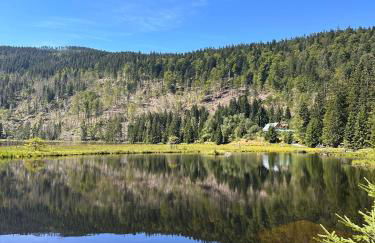 Bavaria Mountain Chalet DESIGN Ferienwohnung SKI Arber Osser Terrasse Sauna in Villa mit Bergblick bis 6 Pers - Foto 32