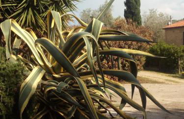 Case Cordovani - Foto 50