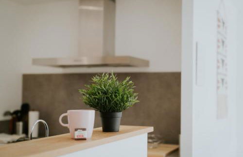 F2 spacieux et lumineux avec cuisine équipée - Foto 10