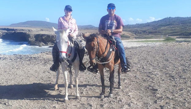 Apprenez à monter à cheval