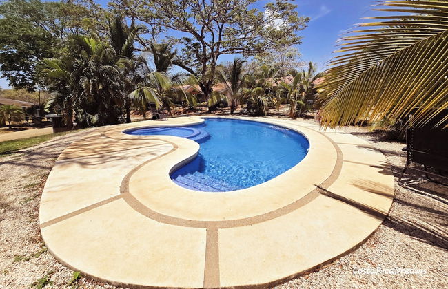 Casa Mandarina Junge Villa 3 pools - Photo 10