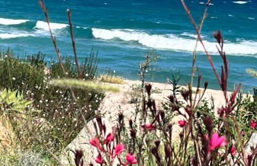 Favone Mini Villa Playa del Oro - Foto 29