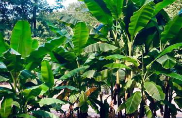 Secluded Watertree Tiny House near Old Hickory Lake – Private Deck, Trails & Breakfast - Foto 74