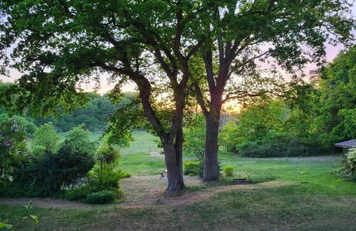 Landhaus Suckow - Foto 11