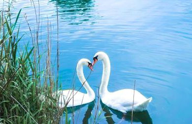 Ginkgo Studio - piscine, proche de la mer, Golf, WIFI - Foto 22