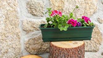 Casa do Avô - Foto 3, Garden