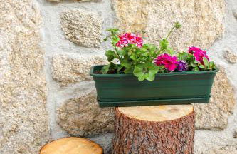 Casa do Avô - Foto 3