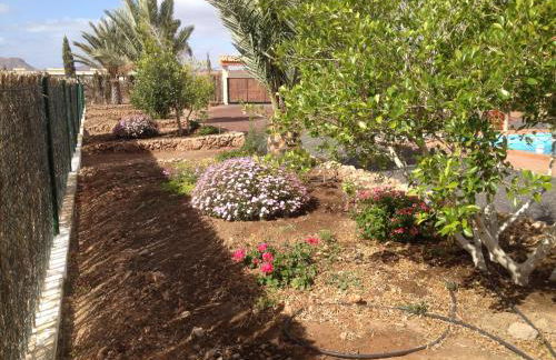 Villa Oliva Fuerteventura - Photo 13