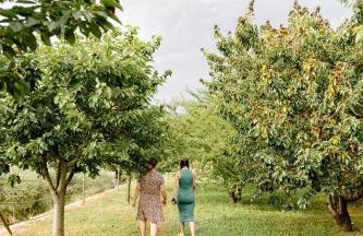 Casa das Nogueiras - Foto 47