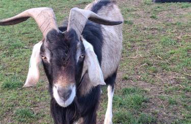 Mardi Gras, Upwell - Foto 31