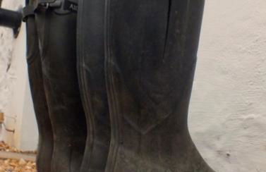 Boggle Dyke Cottage - Foto 13