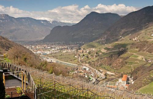 New Opening Vinea Guesthouse - Foto 45