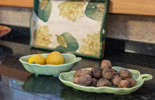 Quinta Eido Oliveira - Photo 78