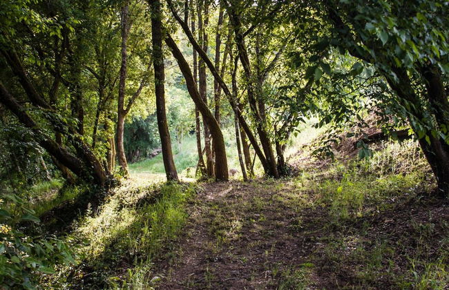 Mulino Della Rivolta - Foto 37