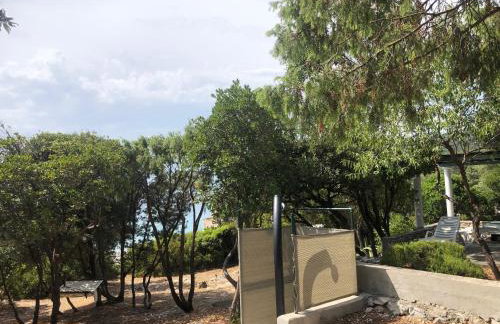 Casula Mediterranea - Foto 6