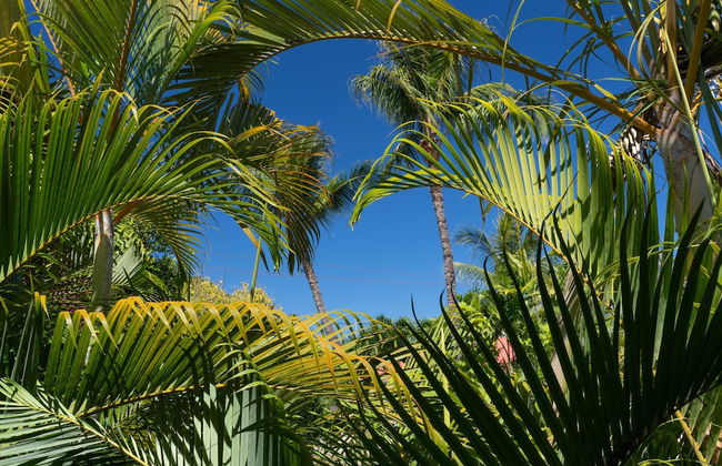 Aina Nalu C107 2 Bedroom Condo by Redawning - Foto 46