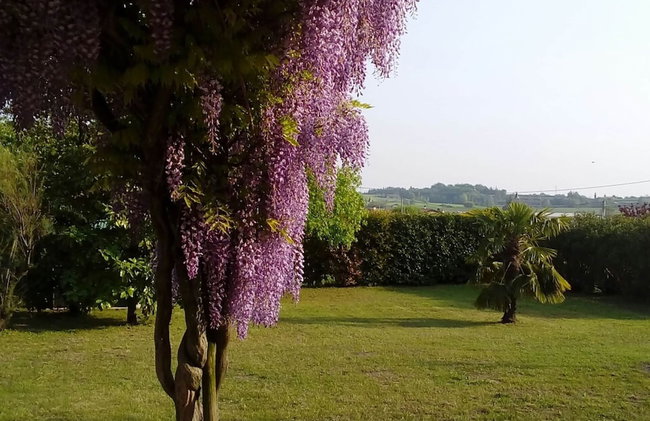 Scenic Holiday Home in Pastrengo near Lazise Lake & City Center - Foto 10