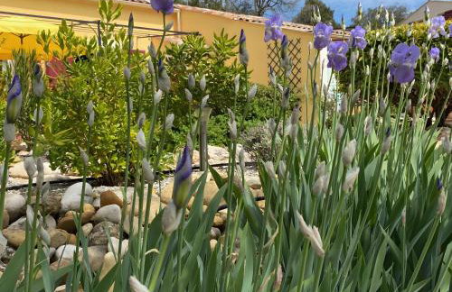 Gîte Lavandin 2 - Foto 22