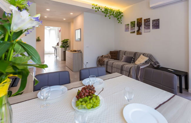 Sem Benelli - Photo 23