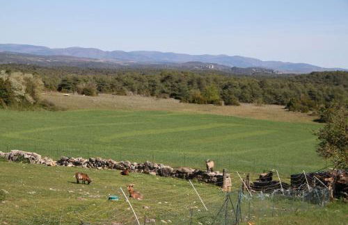 La Maison du Berger - Photo 9