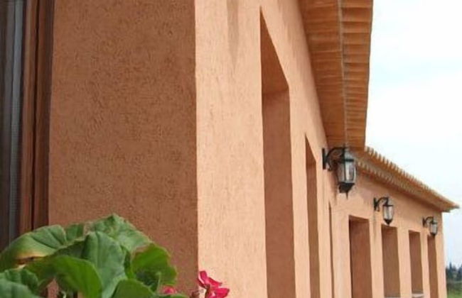 Le Terre di San Domenico - Photo 43