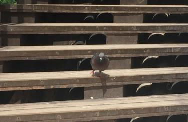 TINTORETTO 1 CON TERRAZZA SOPRA IL TETTO, 3 bagni, 3 grandi camere da letto, SUPER NUOVO - Photo 77