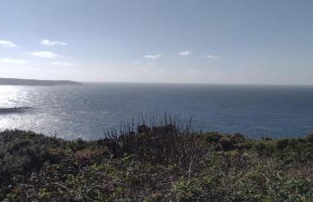 The Samphire Cottage - Foto 31