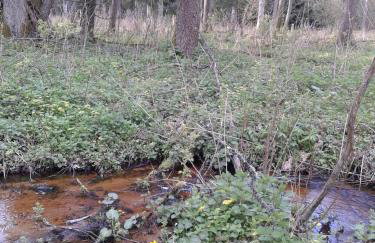 Cztery Pory Roku - Foto 65