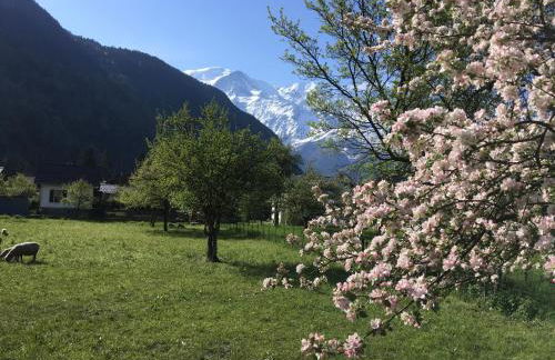 Fizhome Mt Blanc - Photo 10