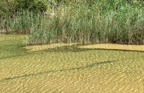 Saint laurent de la cabrerisse Rivière proche Lagrasse - Foto 3