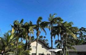 Chácara Rota das Praias - Ubatuba - São Francisco do Sul - Foto 43