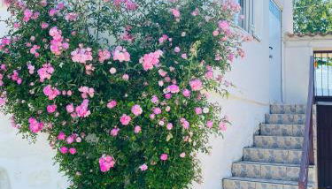 Apartment QUINTA DE AREIAS - Foto 4