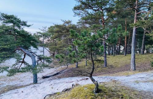 Siedlisko Wytowno - Foto 38