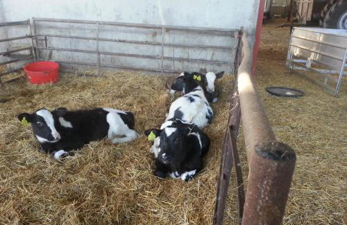 Church Farm - Foto 14