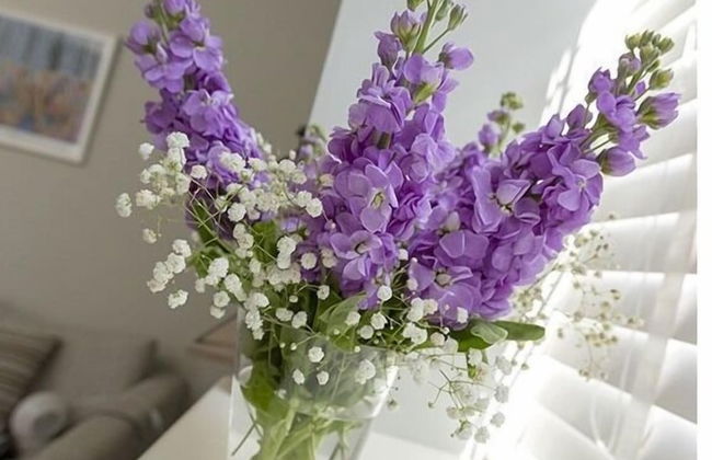 The Lane Apartment - Foto 13