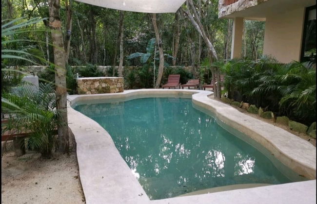 Jungle Penthouse - Photo 19