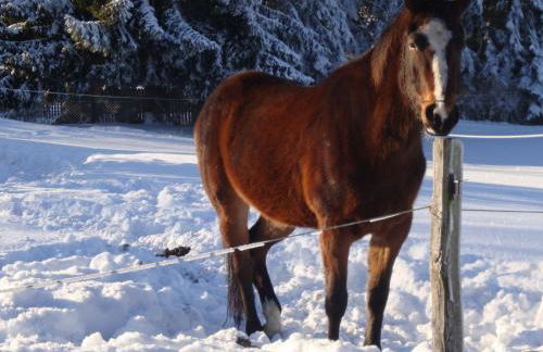 Holiday Home Vogtlandresidenz by Interhome - Foto 20