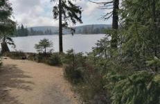 Waldgeflüster - Photo 18