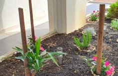 Apartment Lara - Photo 26