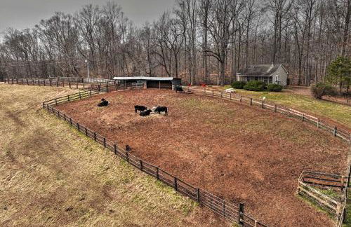 Cozy Rixeyville Cottage with Deck, Grill, and Stabling - Foto 21