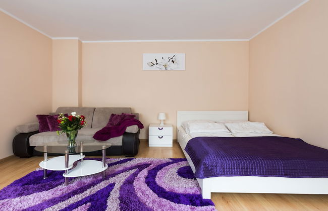 Aparthouse Apartamenty Sosnowiec - Photo 9