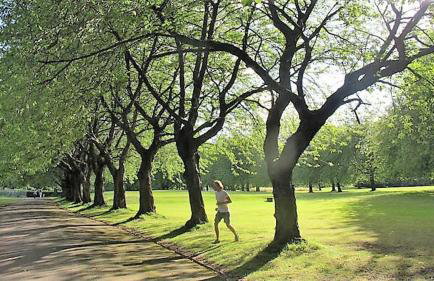 -F9GH- for your most relaxed, Cosy stay, Parking - Foto 33