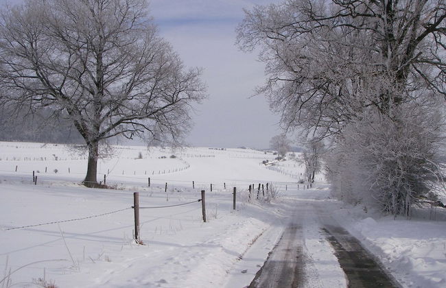 Apartment in Burg Reuland With Forest - Foto 39